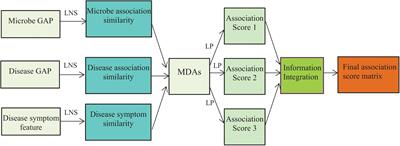 Finding Colon Cancer- and Colorectal Cancer-Related Microbes Based on Microbe–Disease Association Prediction